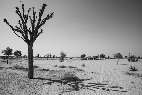 Siyana, Rajasthan. February 2021