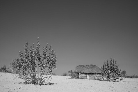 Siyana, Rajasthan. February 2021