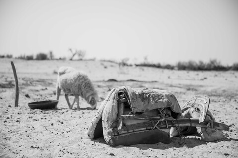 Siyana, Rajasthan. February 2021