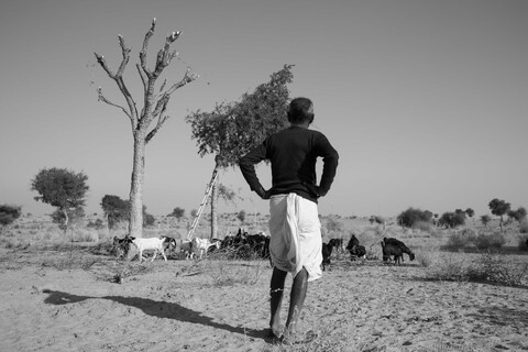 Siyana, Rajasthan. February 2021