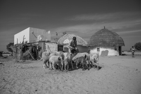 Siyana, Rajasthan. February 2021