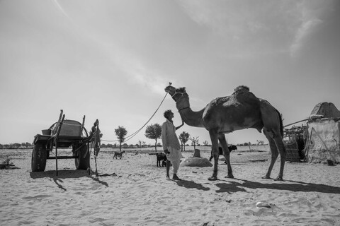 Siyana, Rajasthan. February 2021