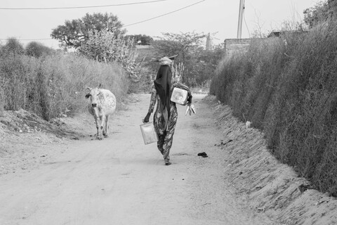 Siyana, Rajasthan. February 2021