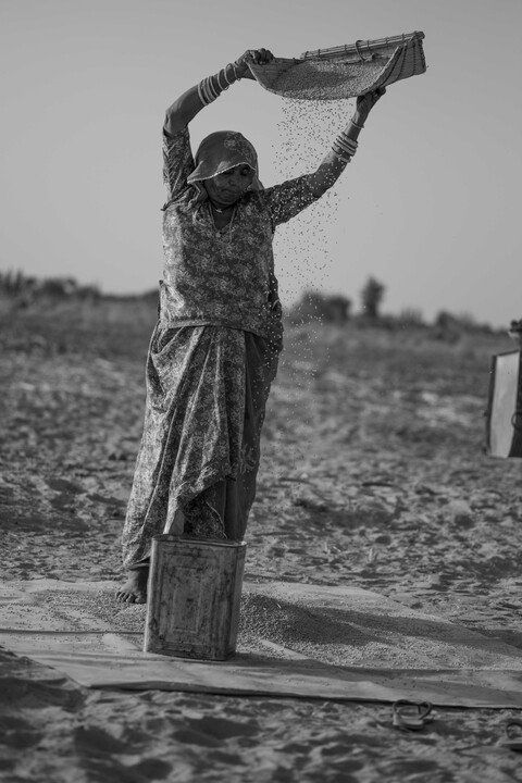 Siyana, Rajasthan. February 2021