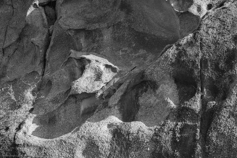 Jawai, Rajasthan. February 2022