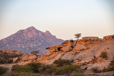 Jawai, Rajasthan. February 2022