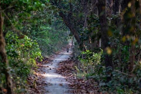The Incongruences of Pilibhit. Uttar Pradesh. April 2022