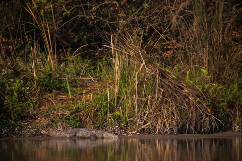 The Incongruences of Pilibhit. Uttar Pradesh. April 2022