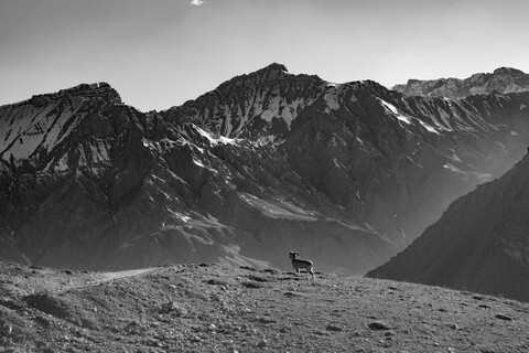 A Great Stillness. Spiti, Himachal Pradesh. May 2022