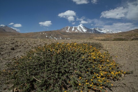 A Great Stillness. Spiti, Himachal Pradesh. May 2022