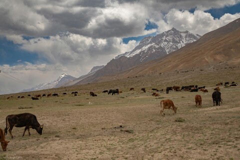 A Great Stillness. Spiti, Himachal Pradesh. May 2022