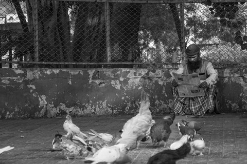 Street Read Old Ahmedabad, Gujarat, January 2023