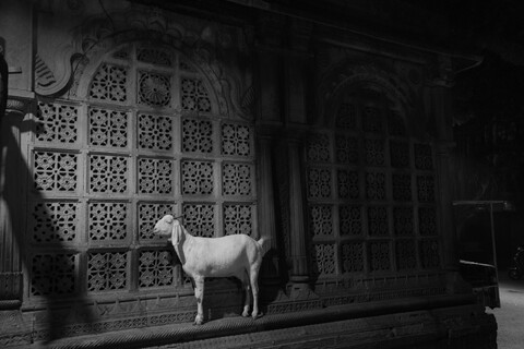 Really Old Ahmedabad, Gujarat, January 2023