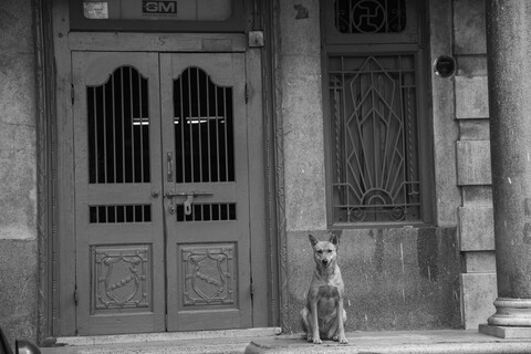 Waiting Old Ahmedabad, Gujarat, January 2023