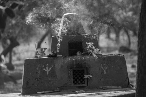 Sariska, Rajasthan, April 2023