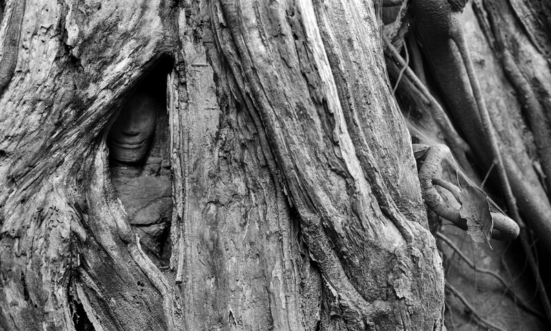 Angkor, Kampuchea, 2007