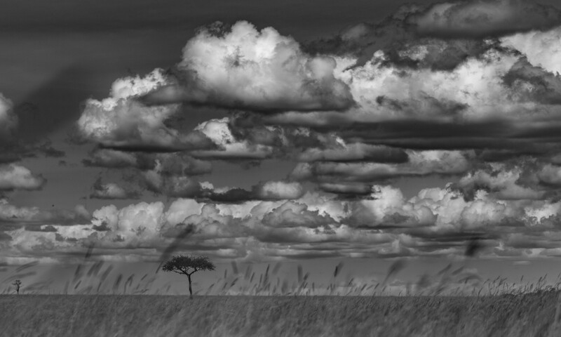 Masai Mara, Kenya, May 2025